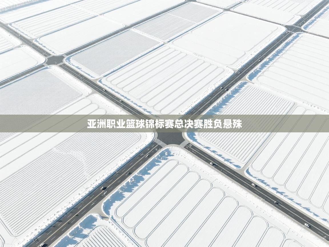 亚洲职业篮球锦标赛总决赛胜负悬殊 第2张