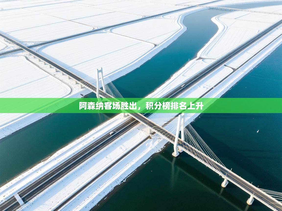 阿森纳客场胜出，积分榜排名上升  第2张