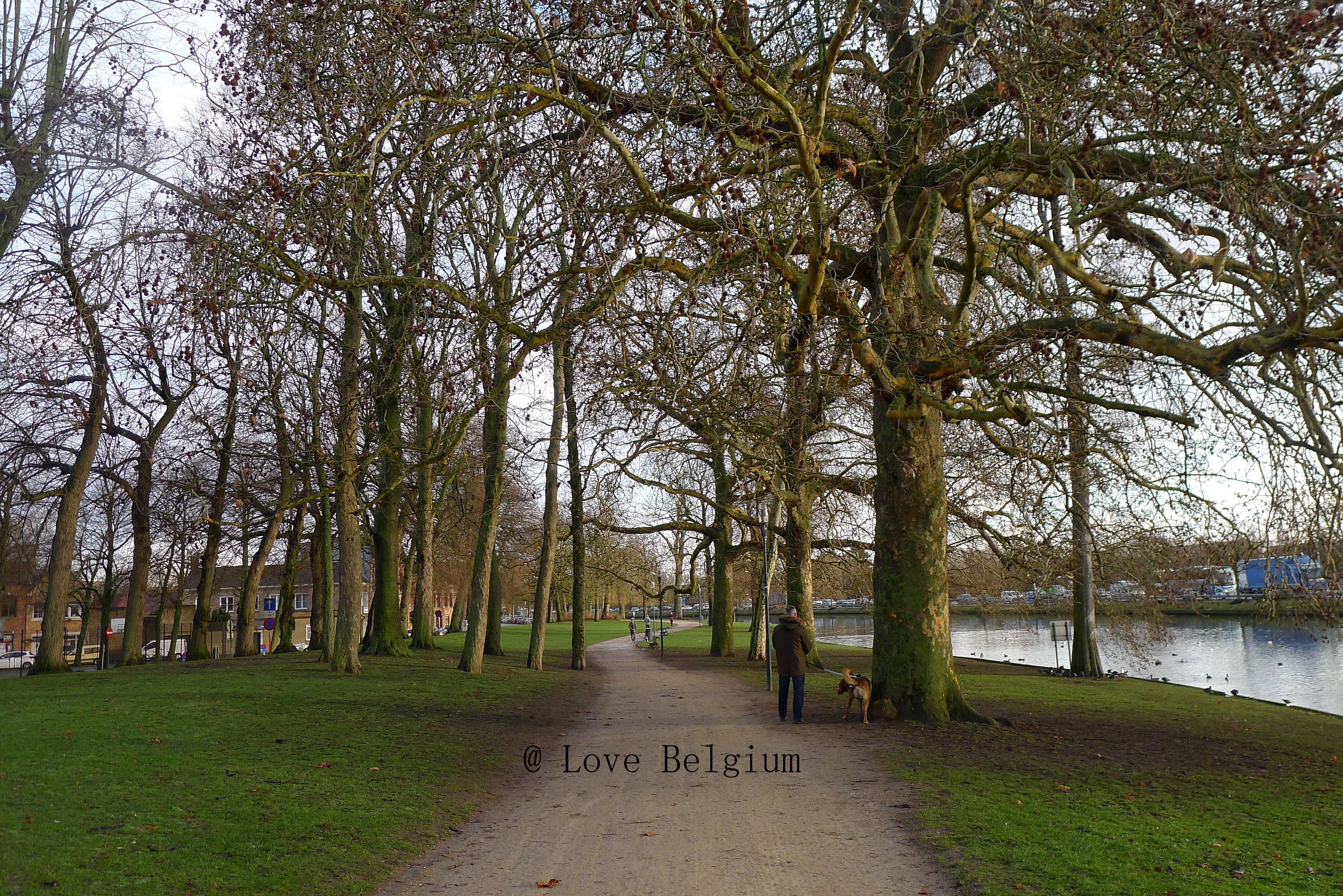 半岛综合体育官方app下载-比利时与荷兰握手言和，僵持不下的简单介绍