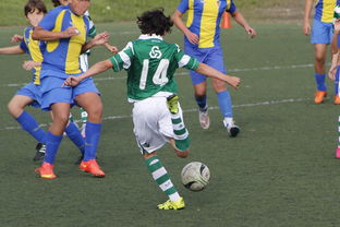 半岛体育app下载-重庆当代客场不敌广州富力，遭遇失利